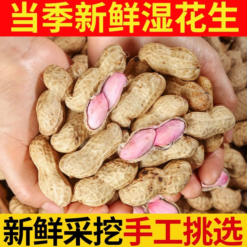 2025现挖现发新鲜湿花生带泥花生粉皮带壳农家特产沙土地花生水煮