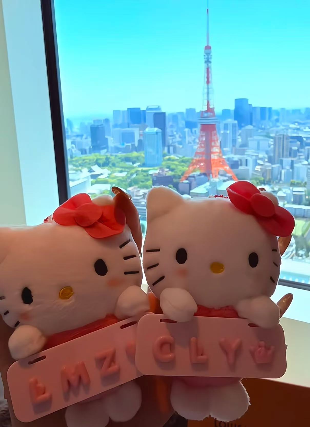 【迪迪崽】152-200号春秋包包挂件车载挂件秋冬适配可爱风