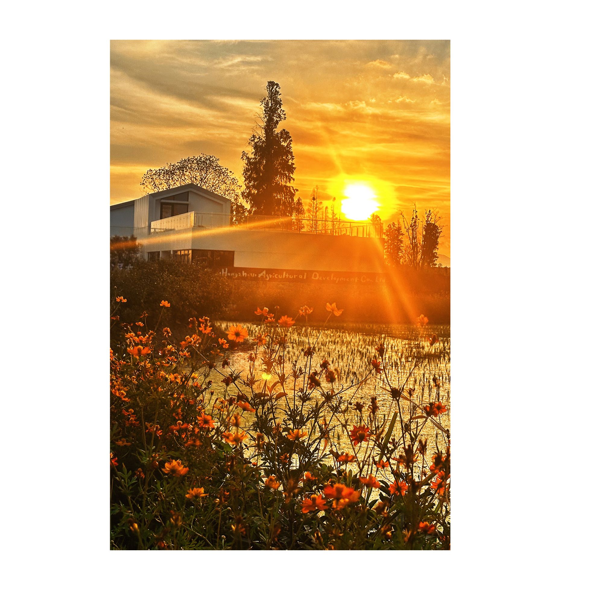 十勤自印加硬小卡（无卡膜拍下不退换默然接受微瑕）