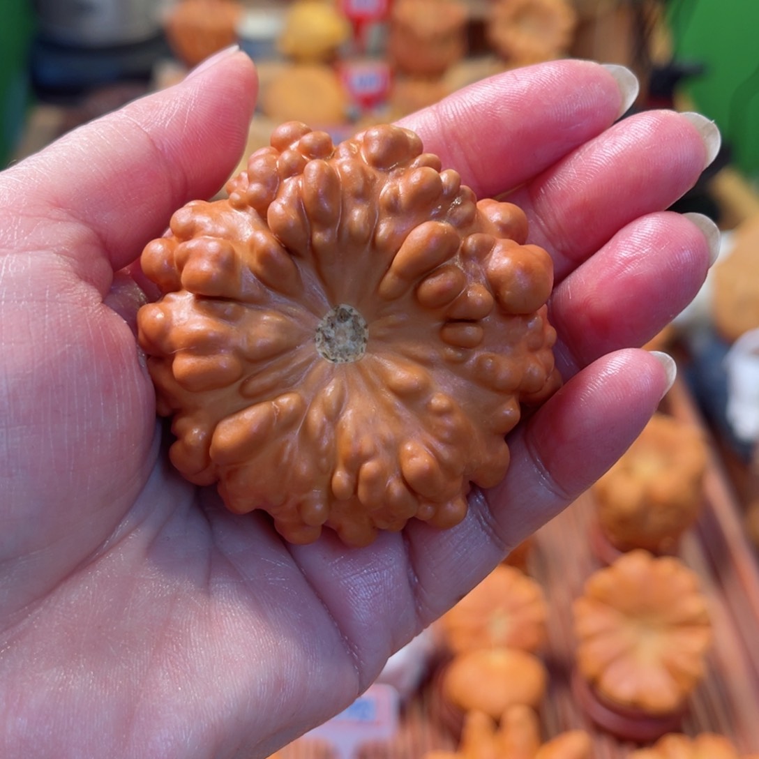 白***?墨西哥葫芦手把爆红疙瘩