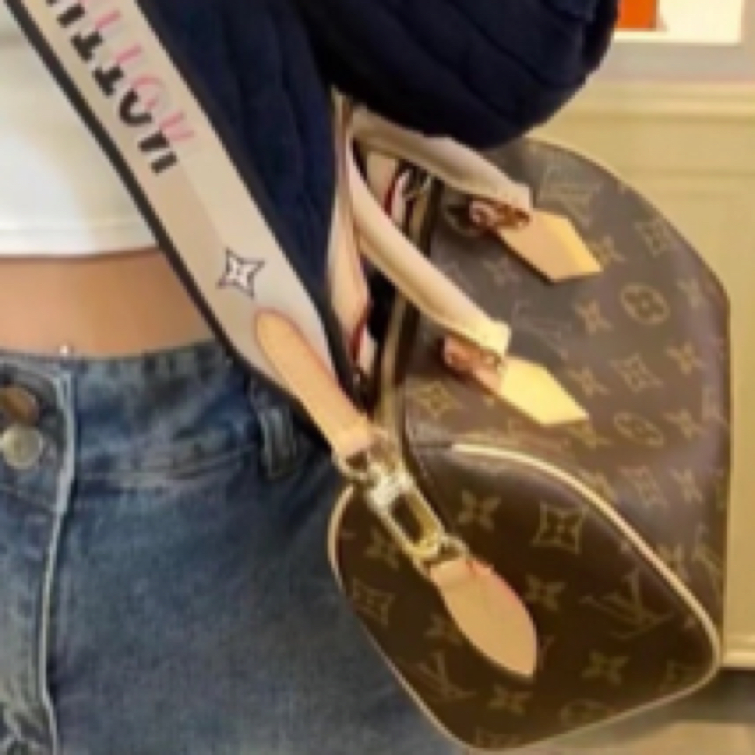 全新未使用 LouisVuitton/路易威登 Speedy20 经典老花 斜挎包