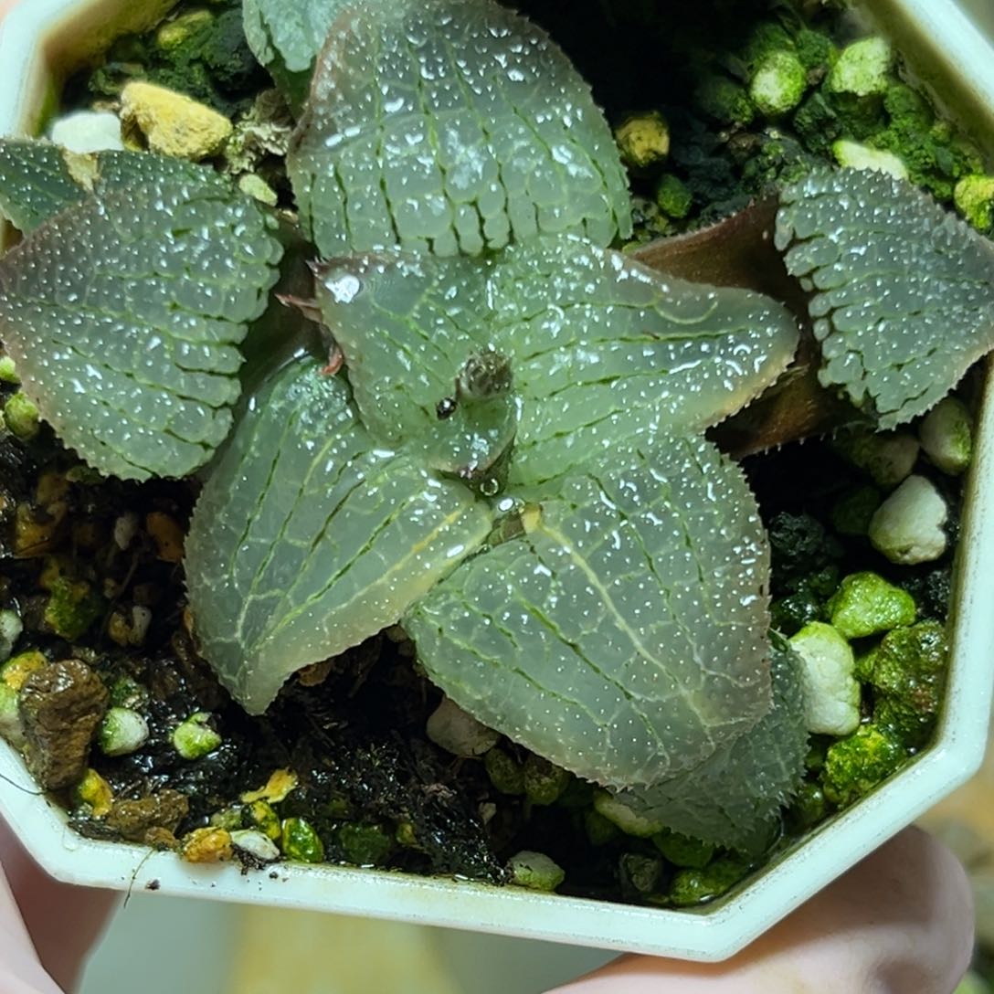 恭喜发财大吉大利0217