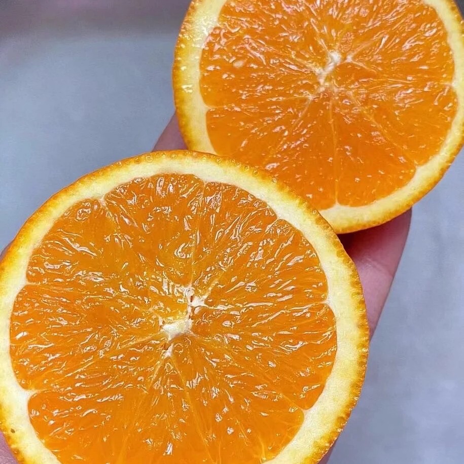 脐橙大号大果4个950-980g