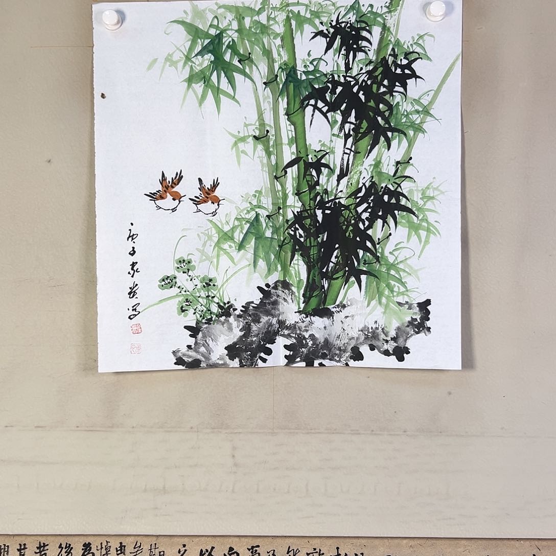 国画303 牡丹等植物生长于这里生长