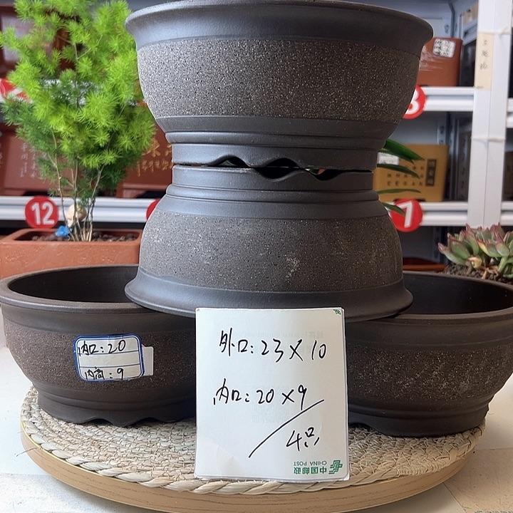 紫砂花盆蛇年大吉