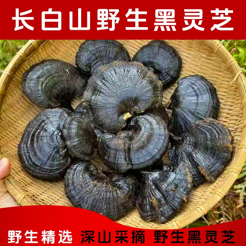 正宗灵芝养生菌冲茶煲靓汤多重使用