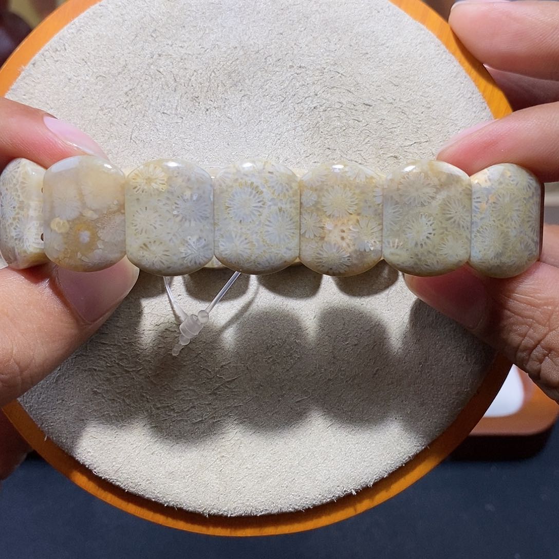 硅化珊瑚（珊瑚玉）手串未镶嵌海藻绿82