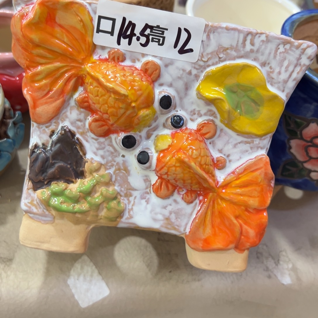 多肉花盆，满18.8米包邮