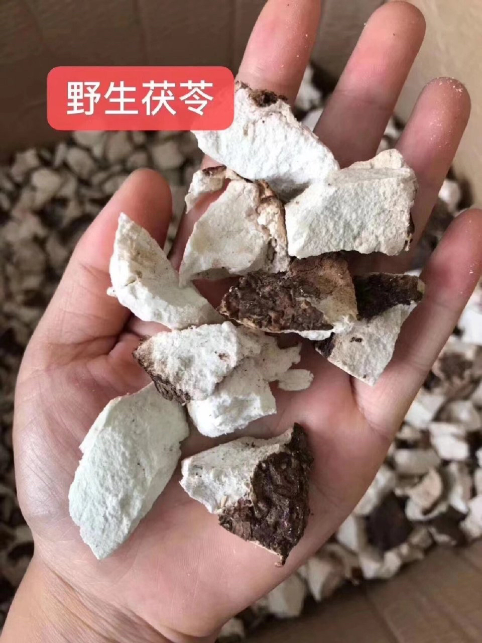 野生白伏苓1斤干货（放福利，活动）去皮