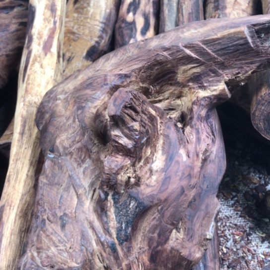 其他黄花梨/降香黄檀E**n