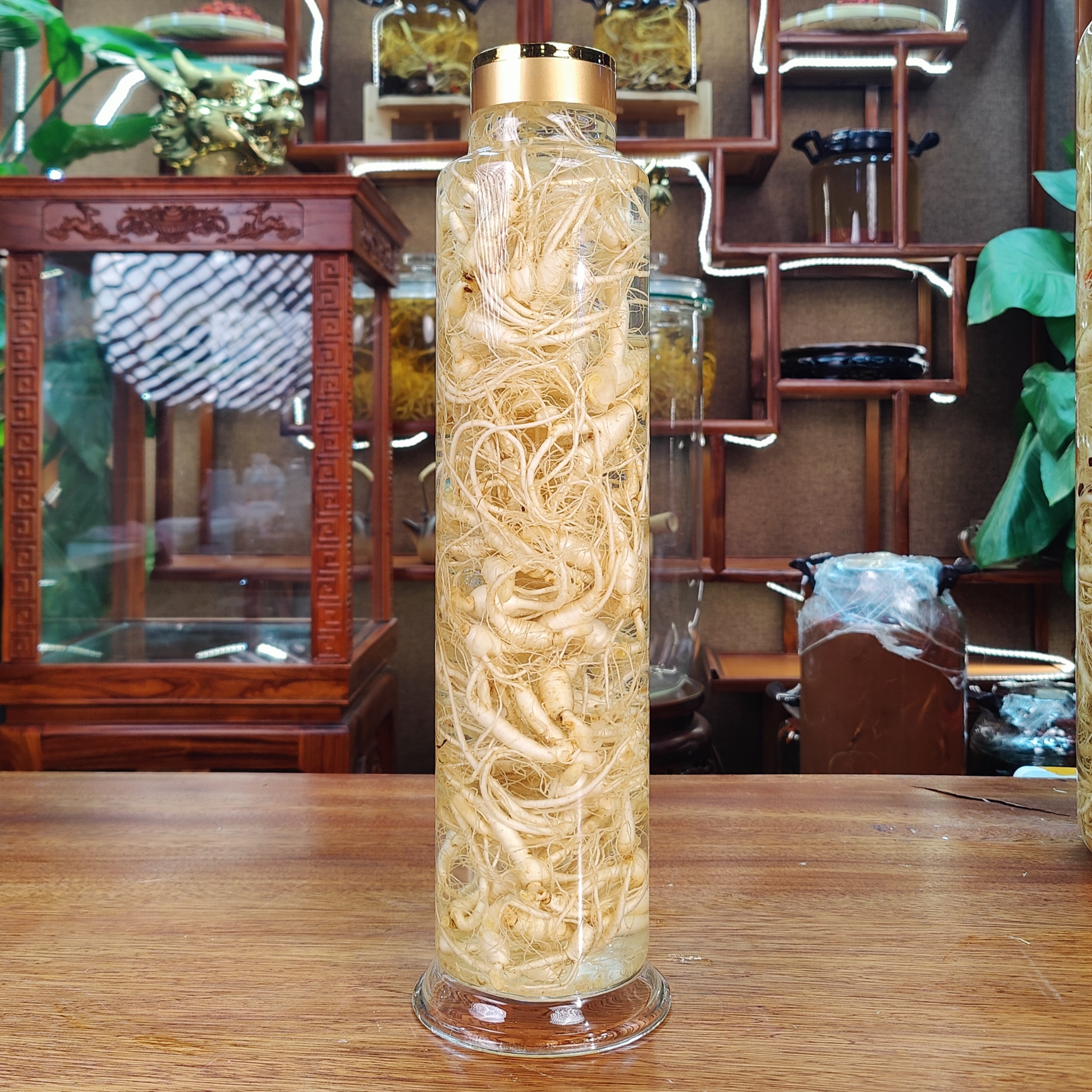 5斤 正宗高龄长白山林下参新鲜籽货可用于泡酒煲汤适合中老年自用