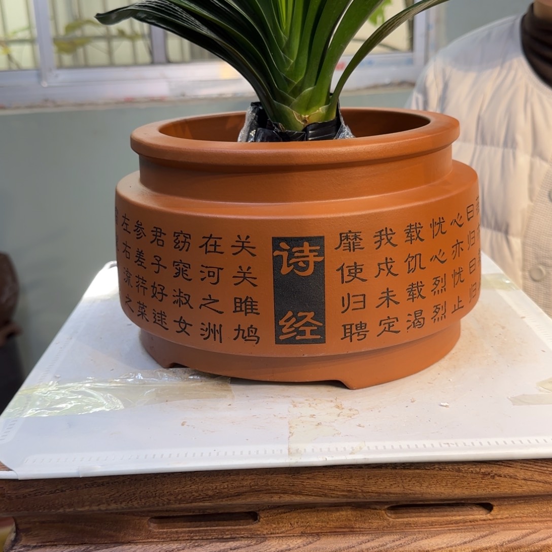 紫砂花盆紫砂口径22