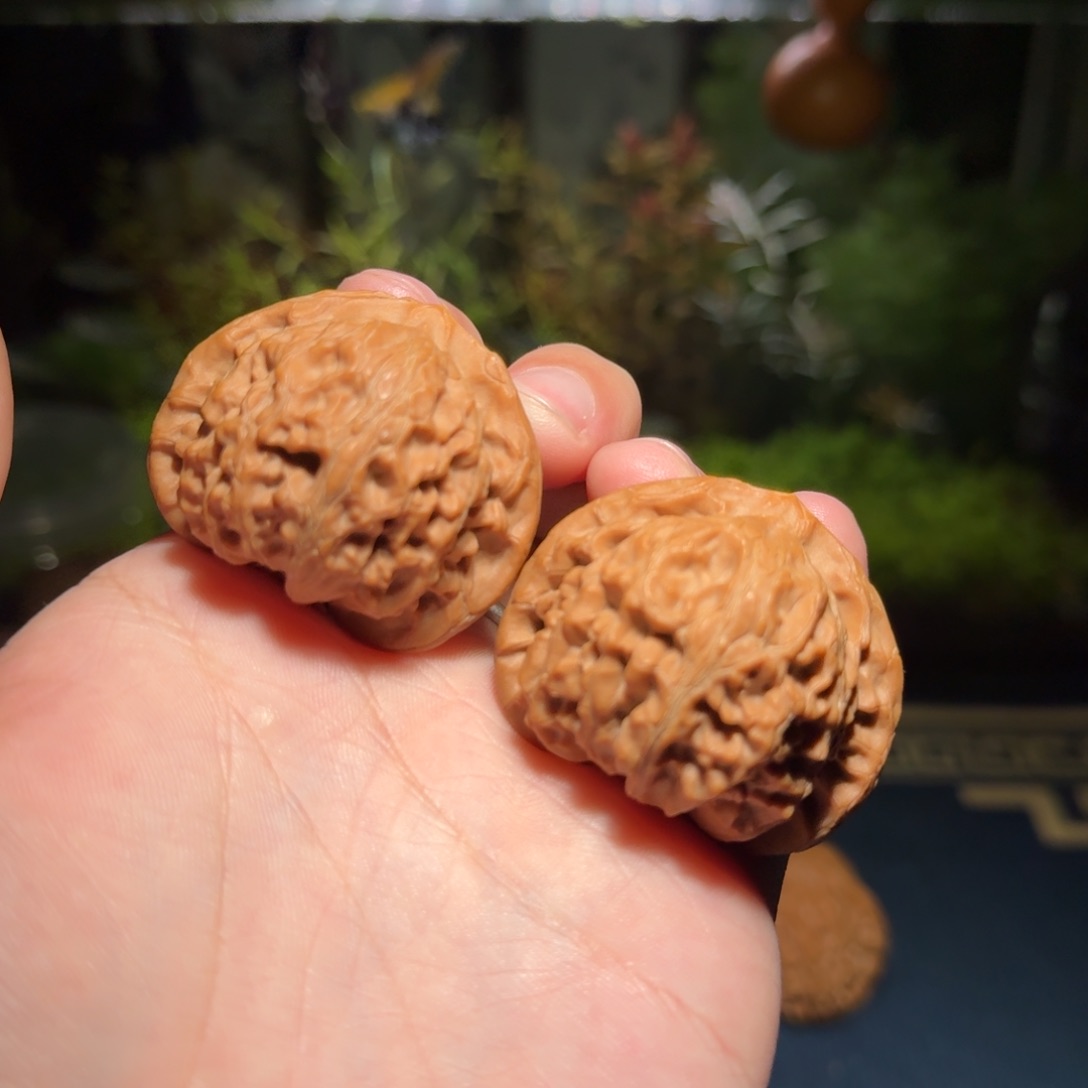 44宫灯狮子头文玩核桃