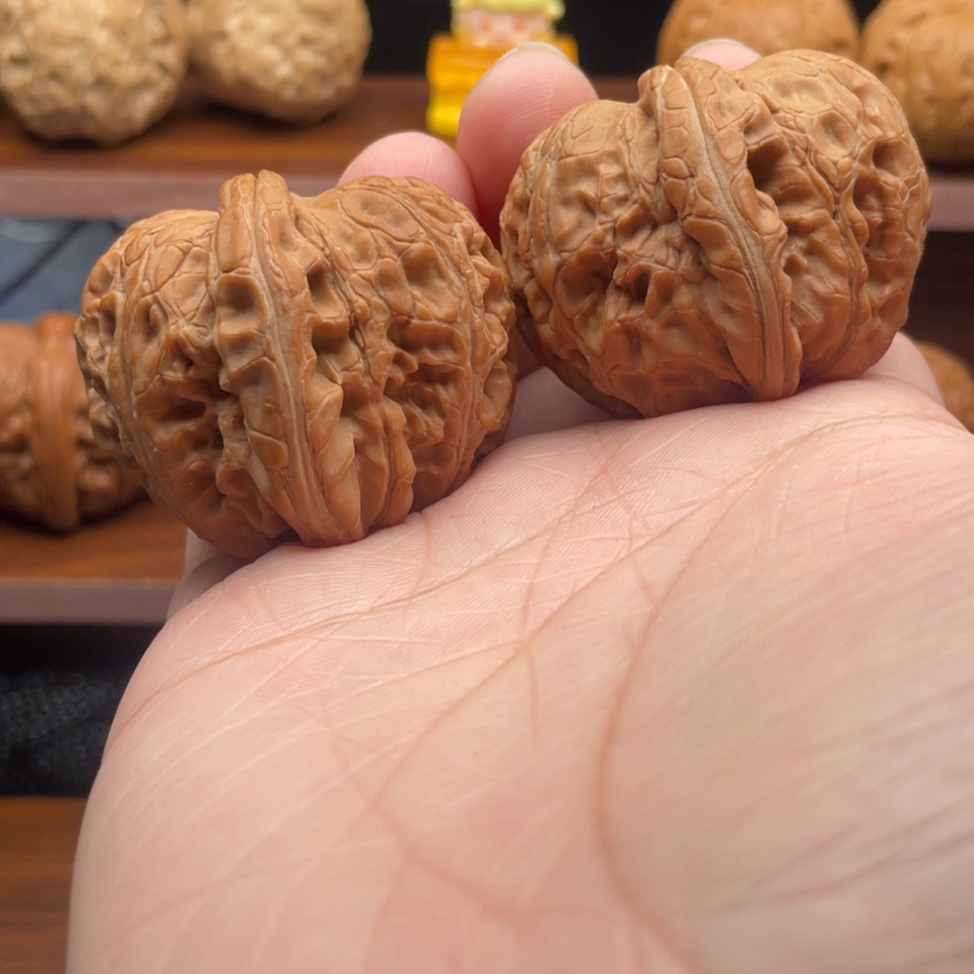 常***爸核桃大哥我真的好可爱呀
