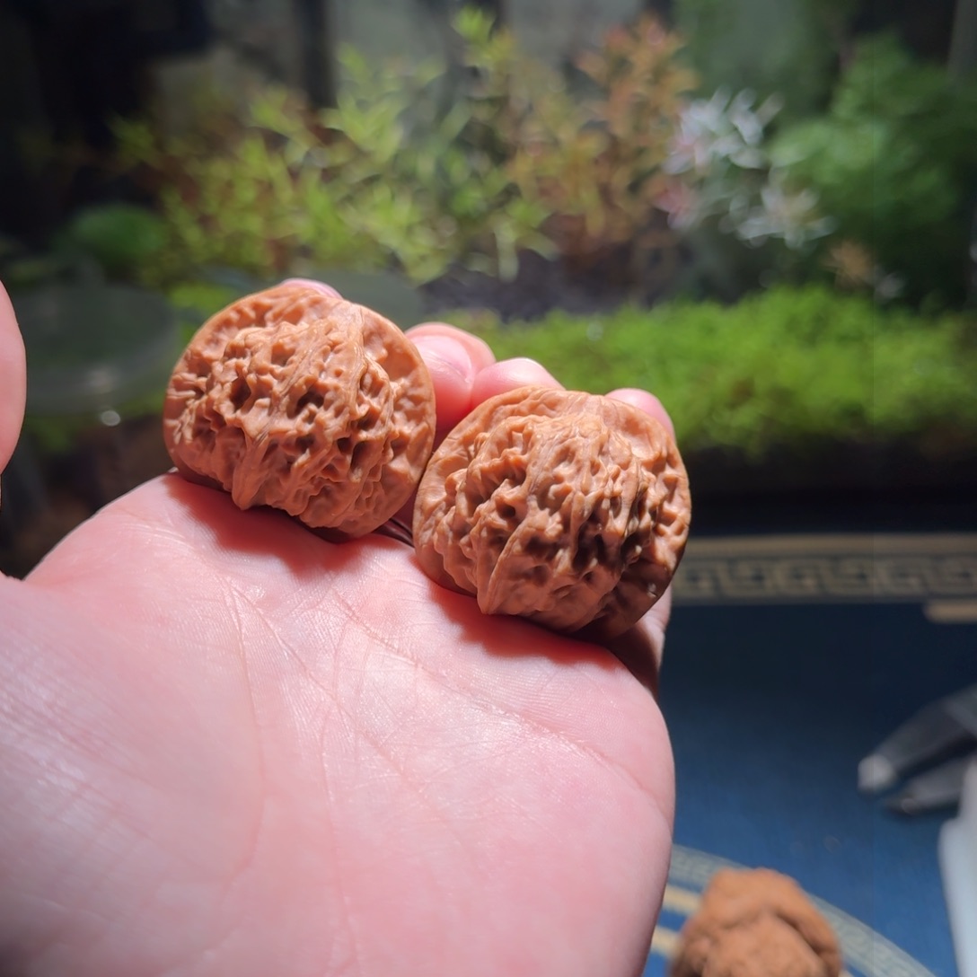 048号38天地狮子头文玩核桃