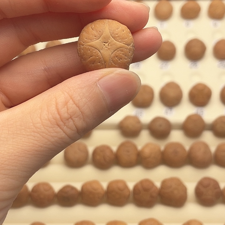 吊坠凤眼菩提四星2号