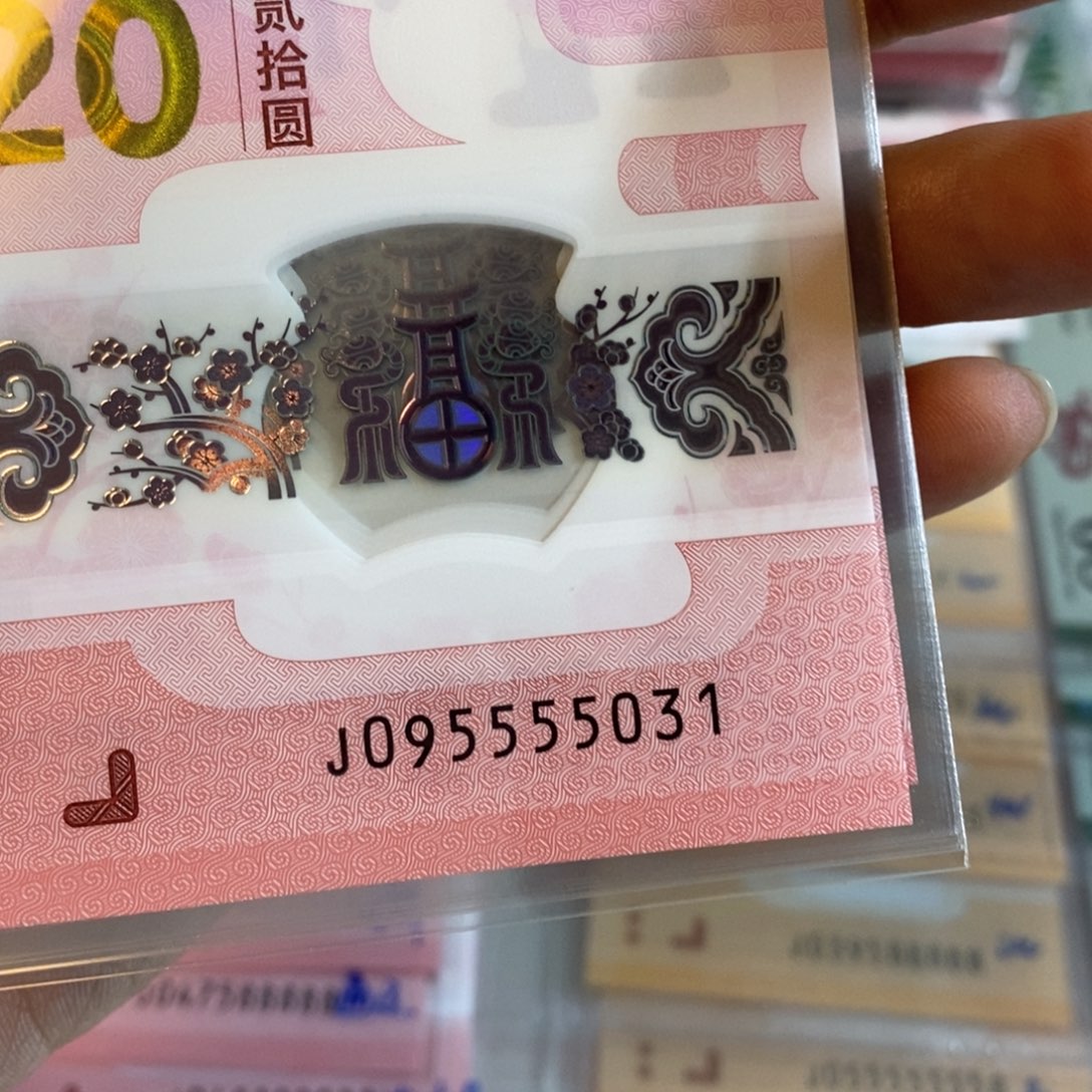 塑料5031................