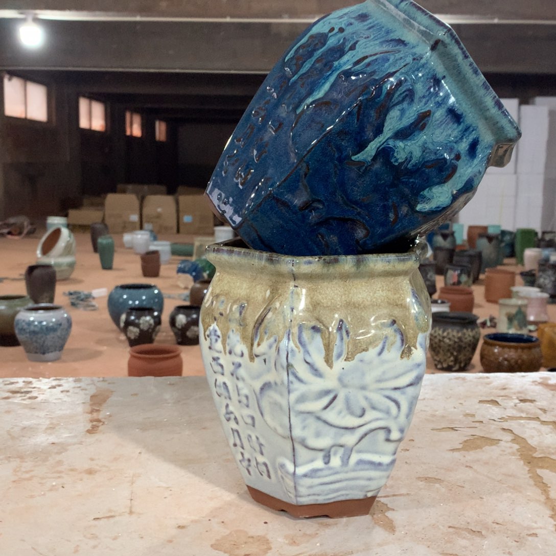 花盆啦啦啦啦啦啦