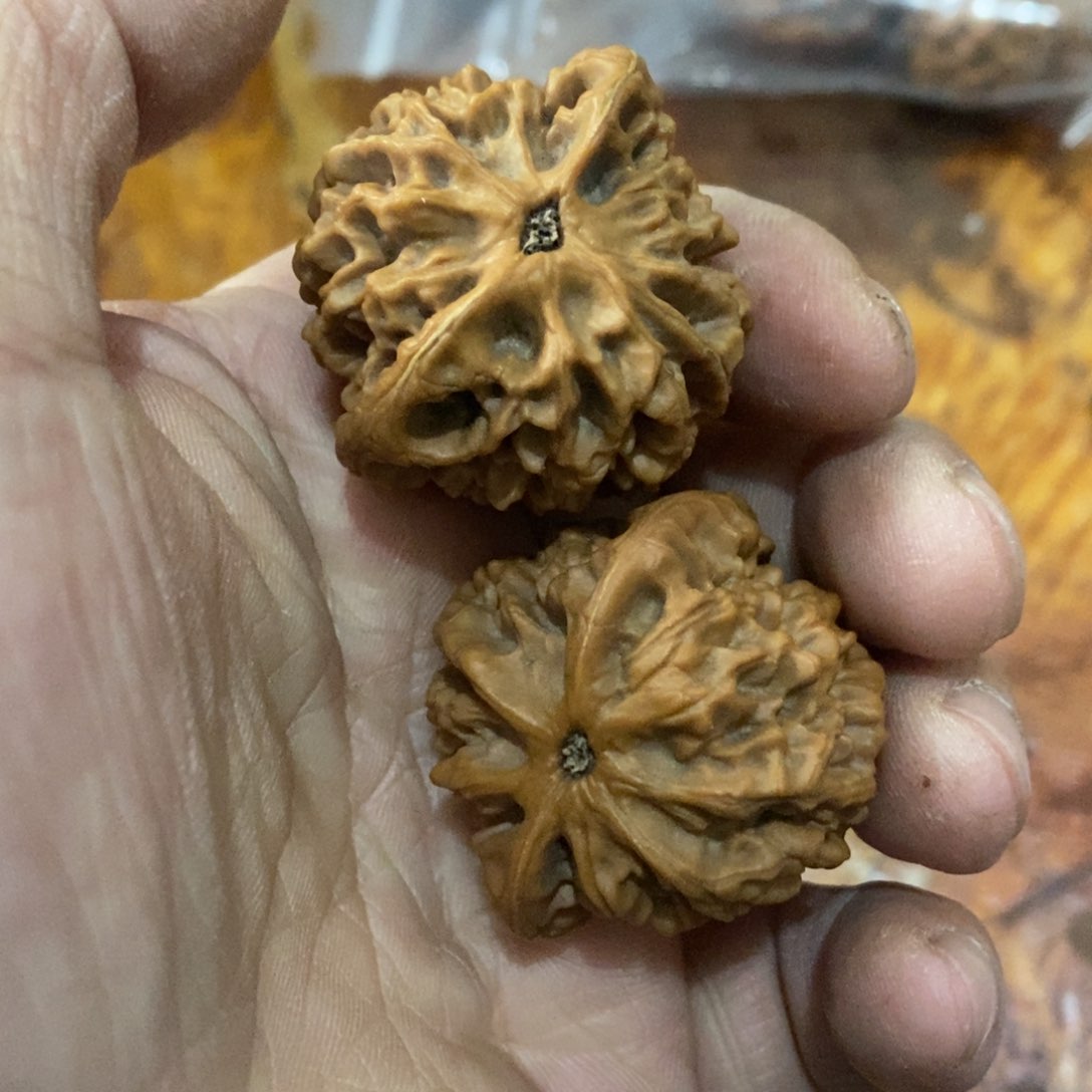 秦岭南侧和东北北部分别