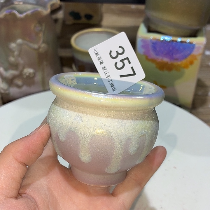 花盆花盆花盆花盆炫彩