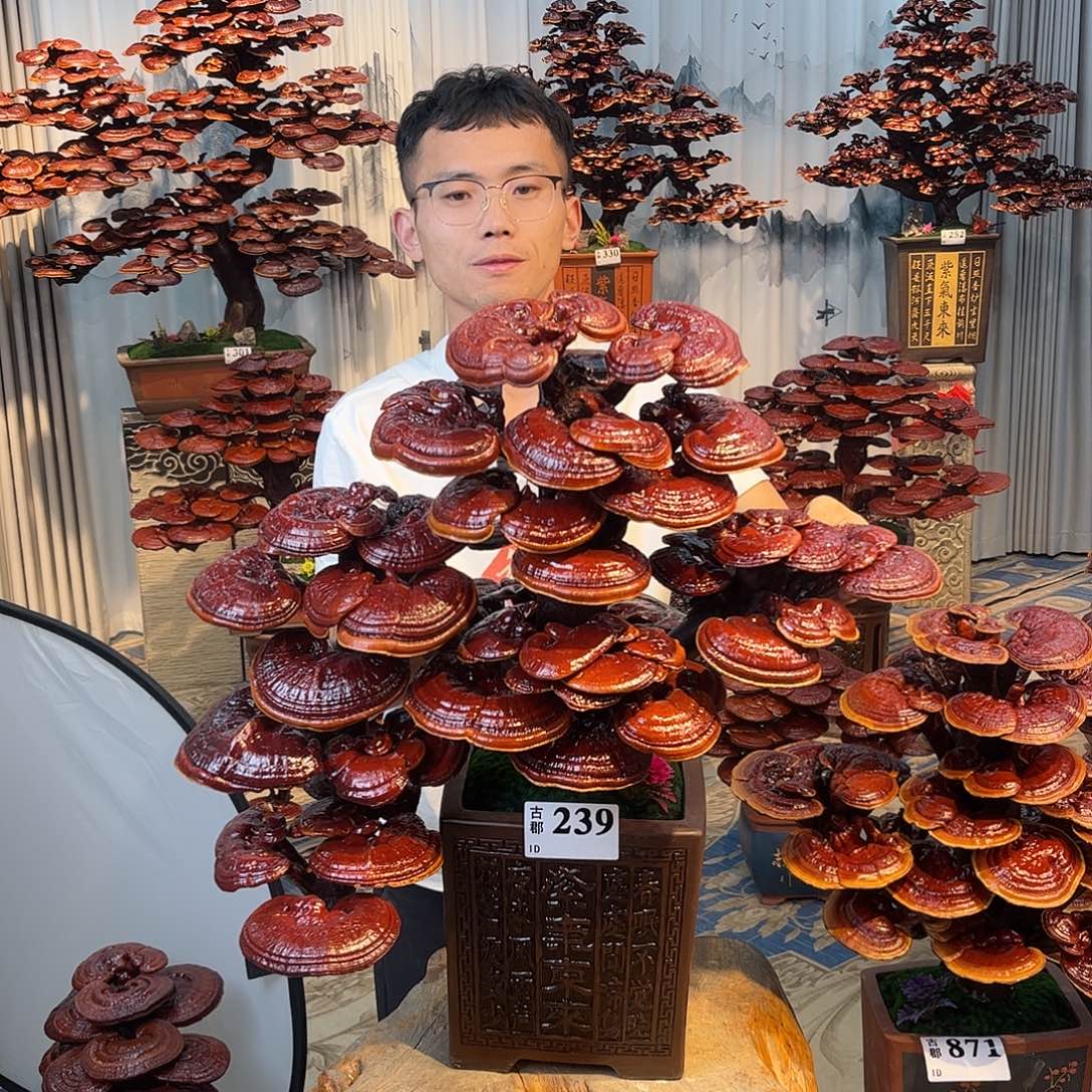 东***狼无花朵08888888888