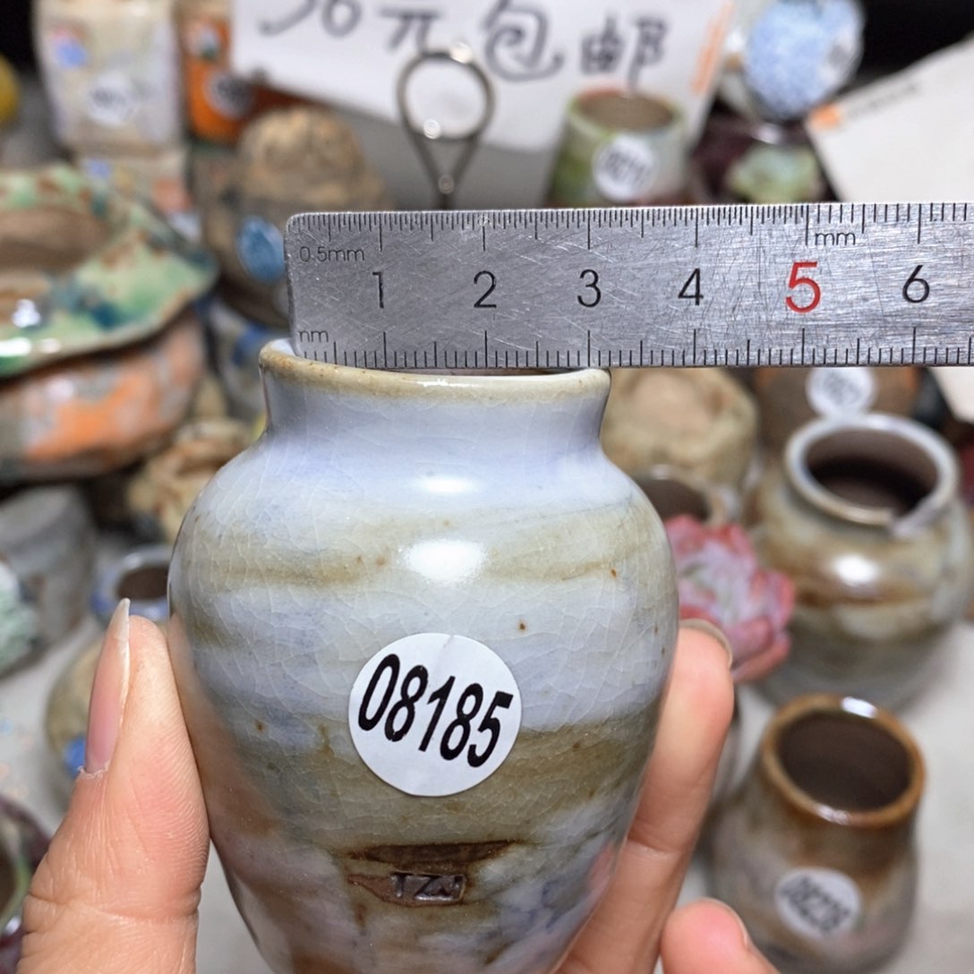 花盆拍5送一个小礼物