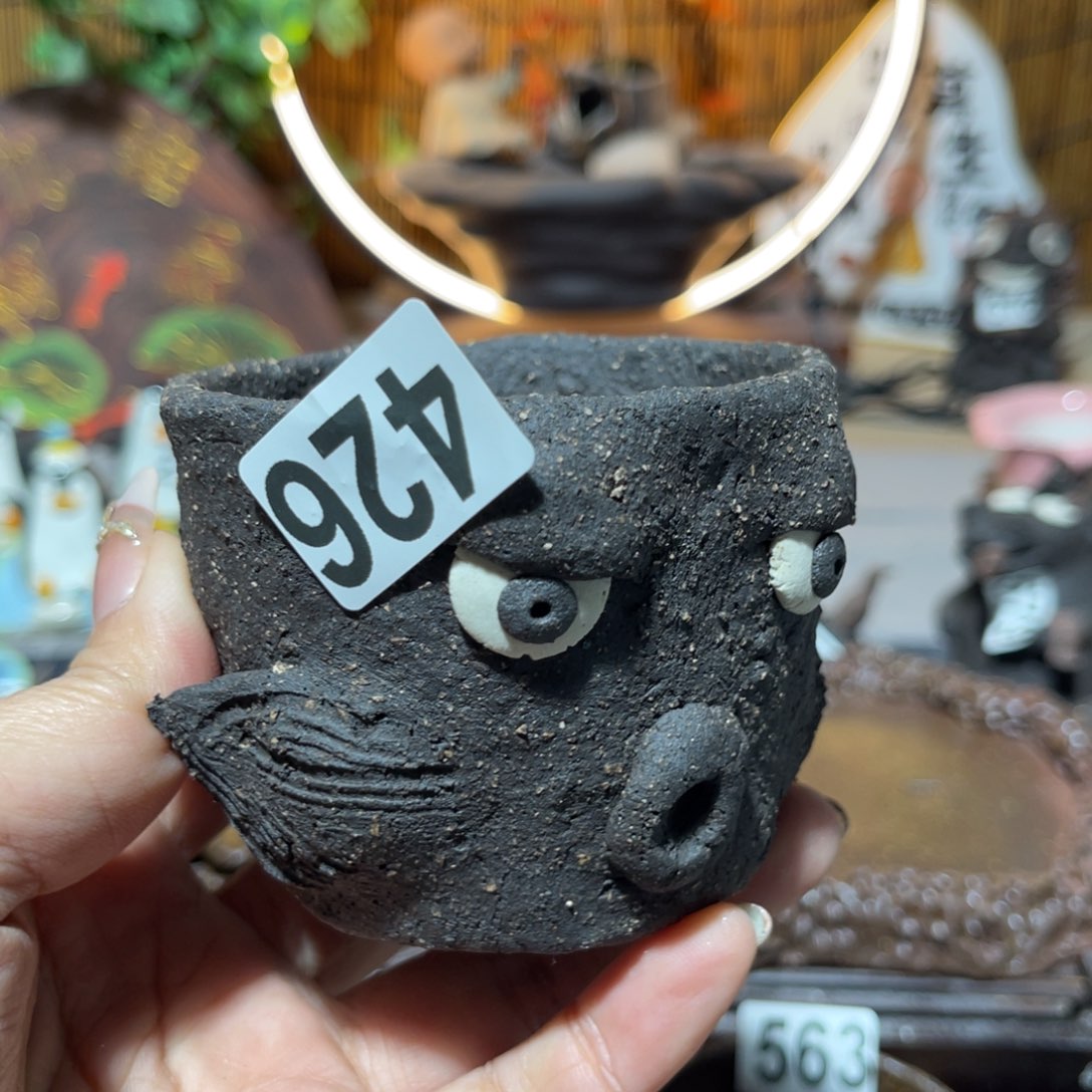 木村信弘柴烧保平