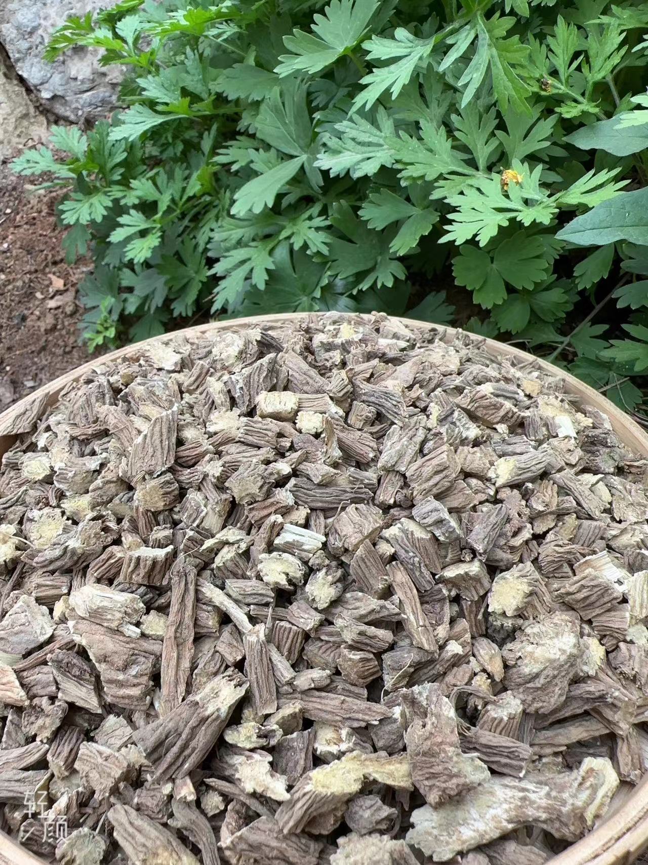 【苗三哥】贵州深山野续断250g 包邮