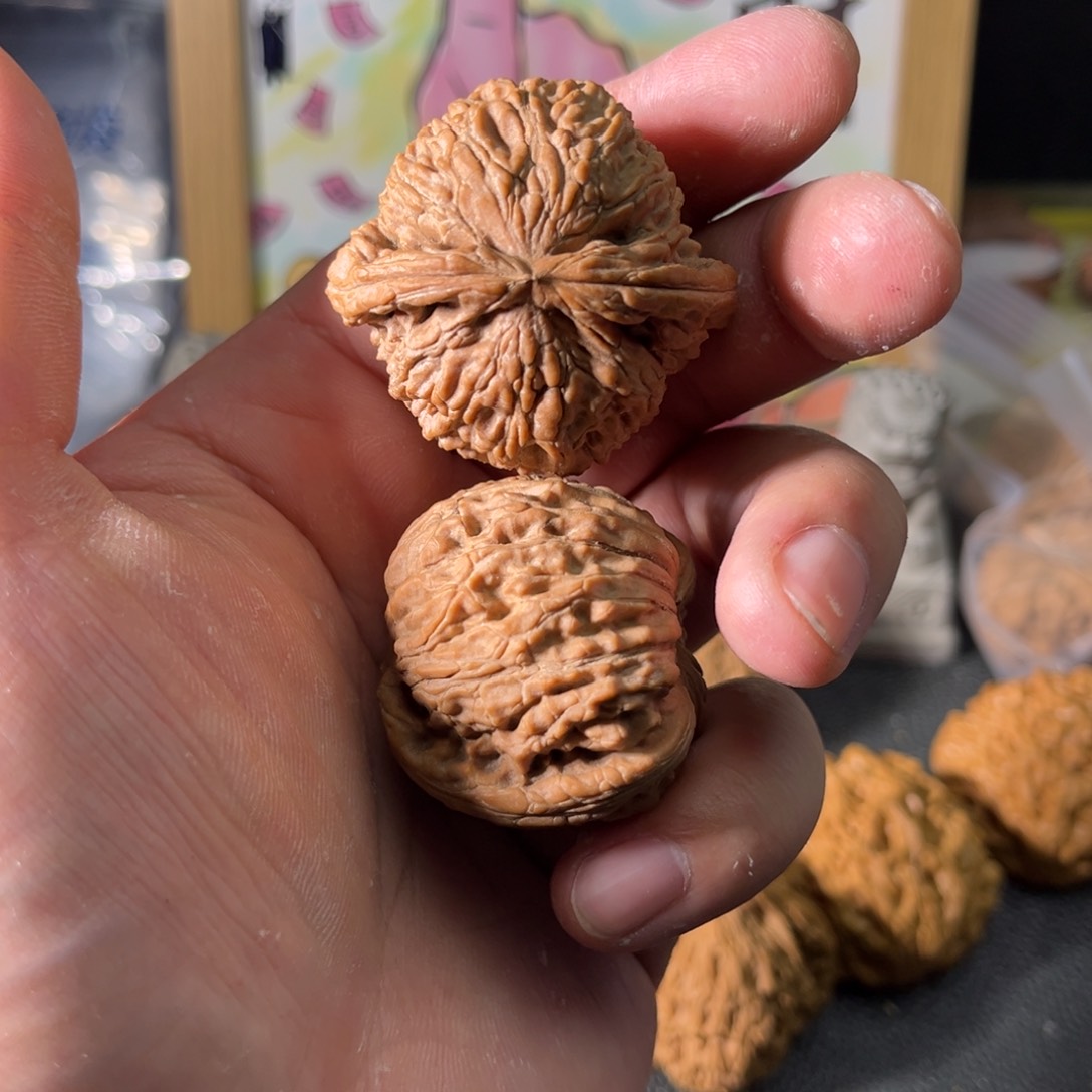 文玩核桃把件*️白狮子