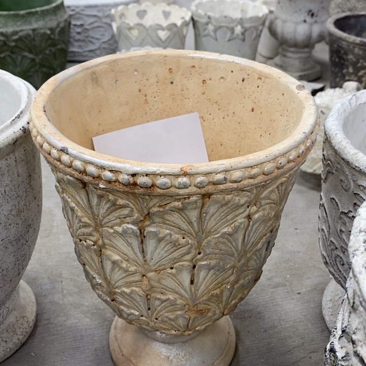 花盆5588888000000000000000