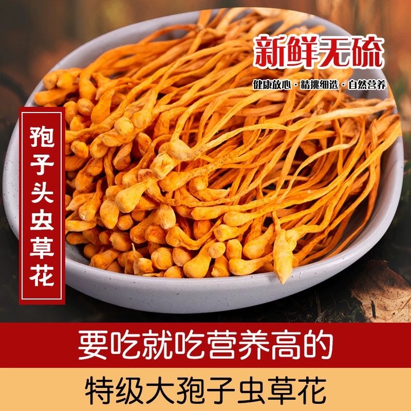 土特产 现收山货  本色虫草花