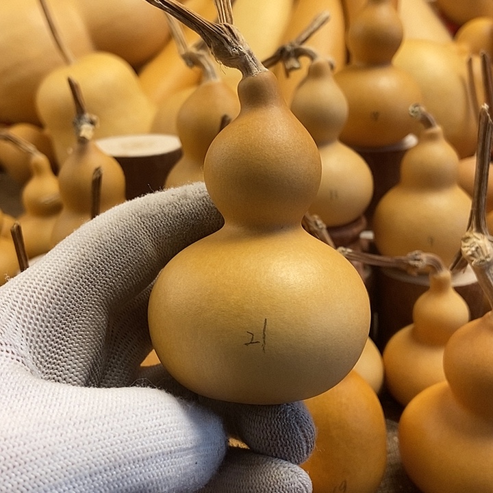 文玩葫芦 完美主义者 慎拍21