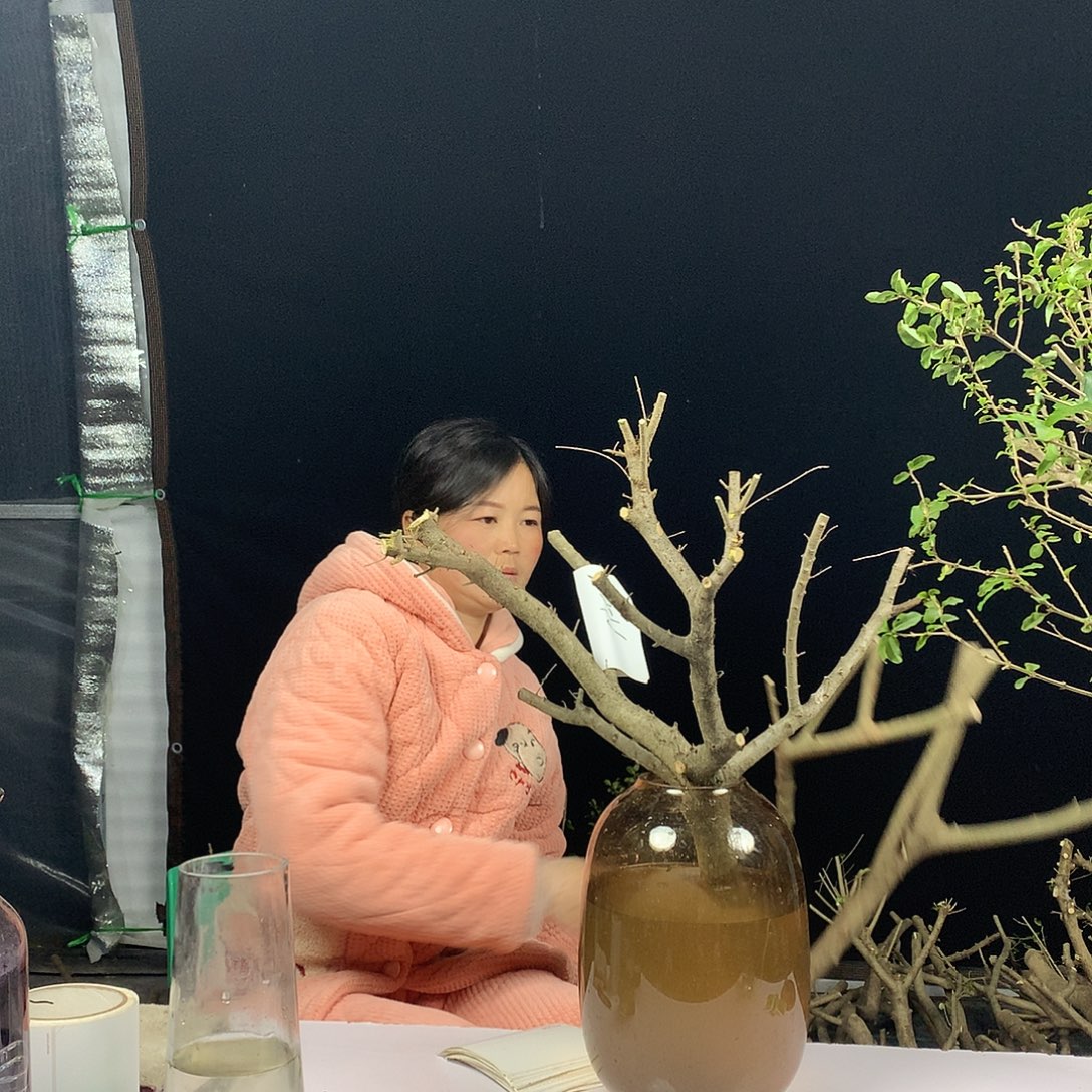 完全开放1112112112