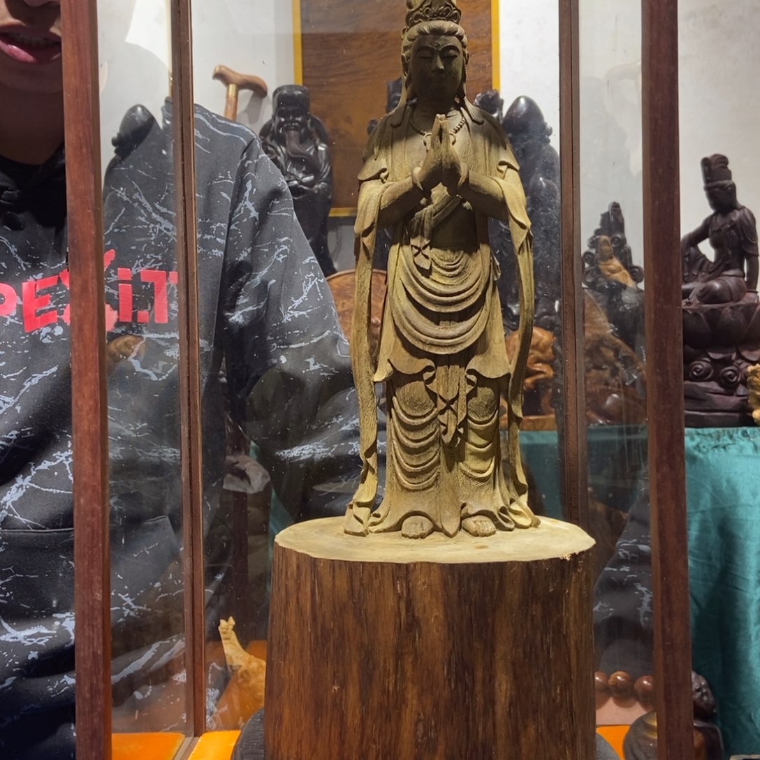 金丝楠小*豚越南芽庄奇楠