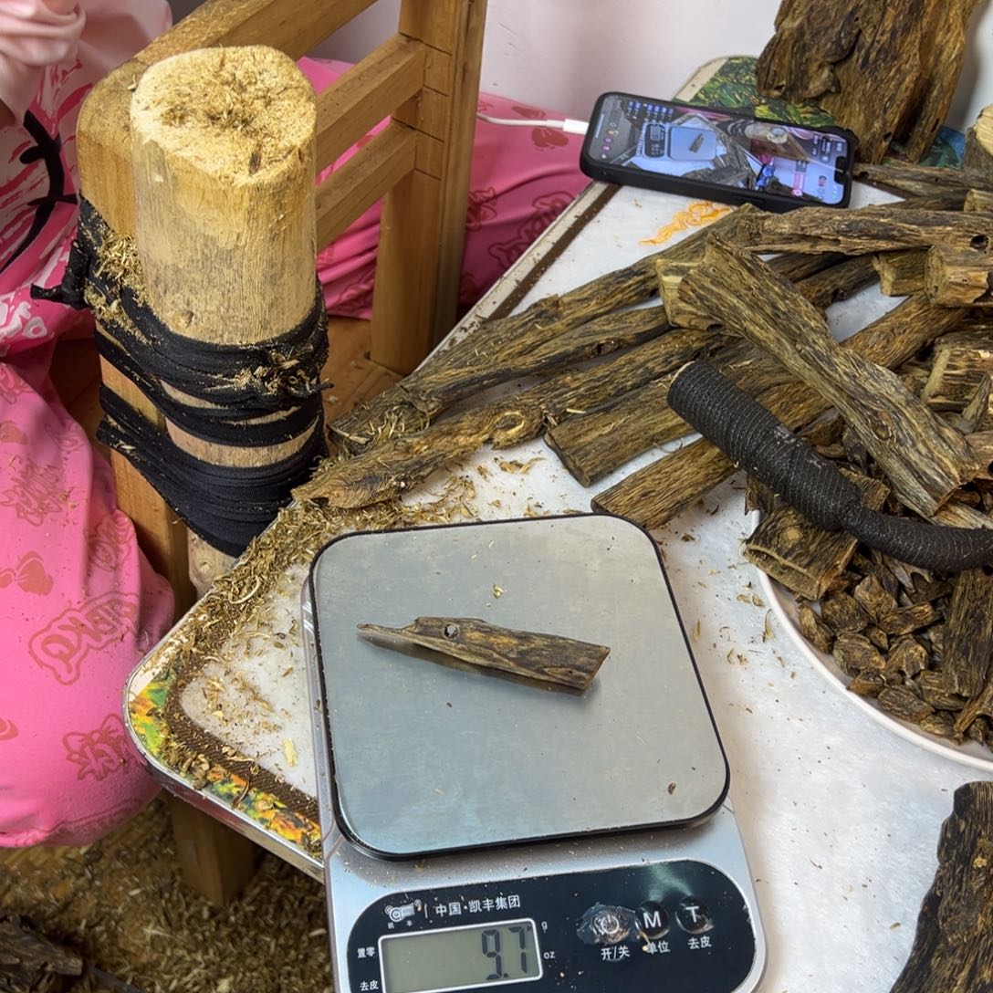 线香奇楠虫漏香9克