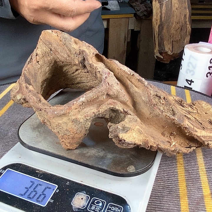 木路**瞧317 毛料毛料毛料毛料