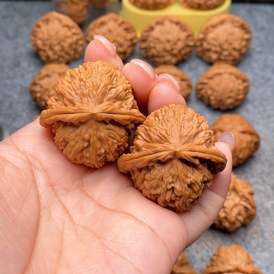 文玩核桃把件精品特价白狮子40全品