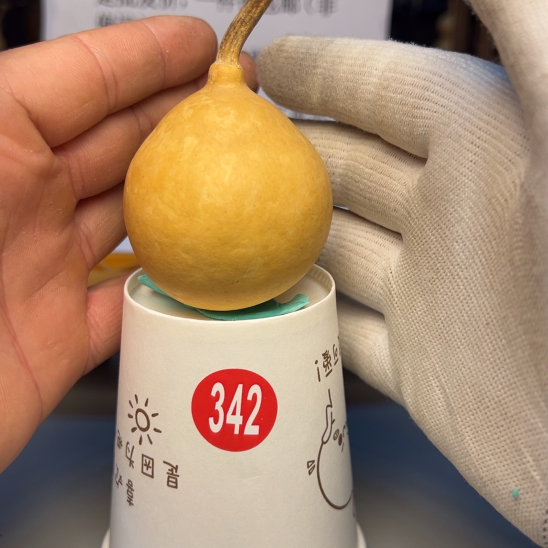 闪电购自助下单编号342