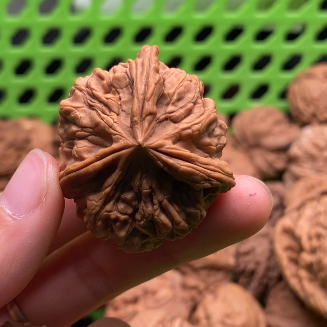 *****核桃定制商品不退不换