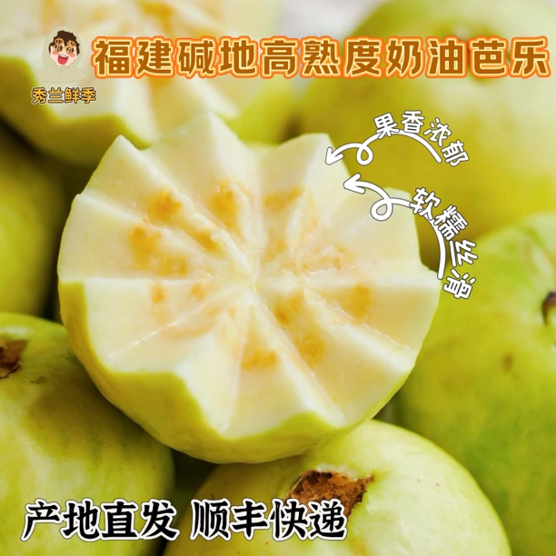 【秀兰鲜季】福建白心奶油芭乐碱地番石榴低卡水果（顺丰快递）