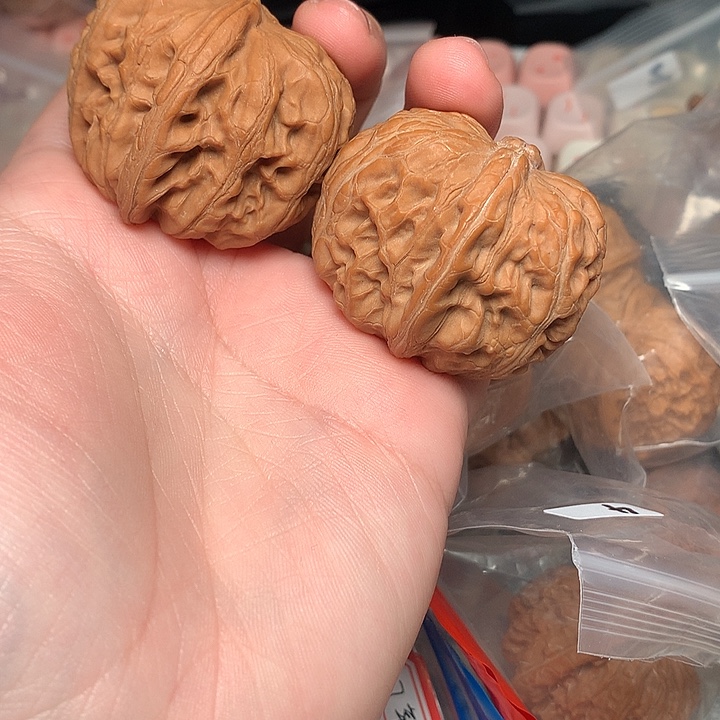 狗啃平谷元宝福利42