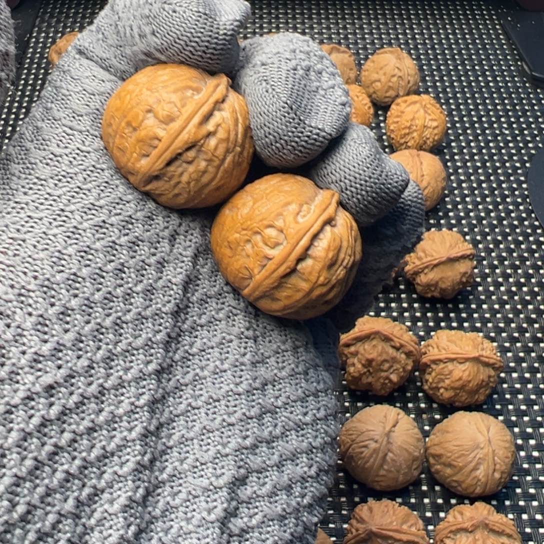 把件文玩核桃元宝