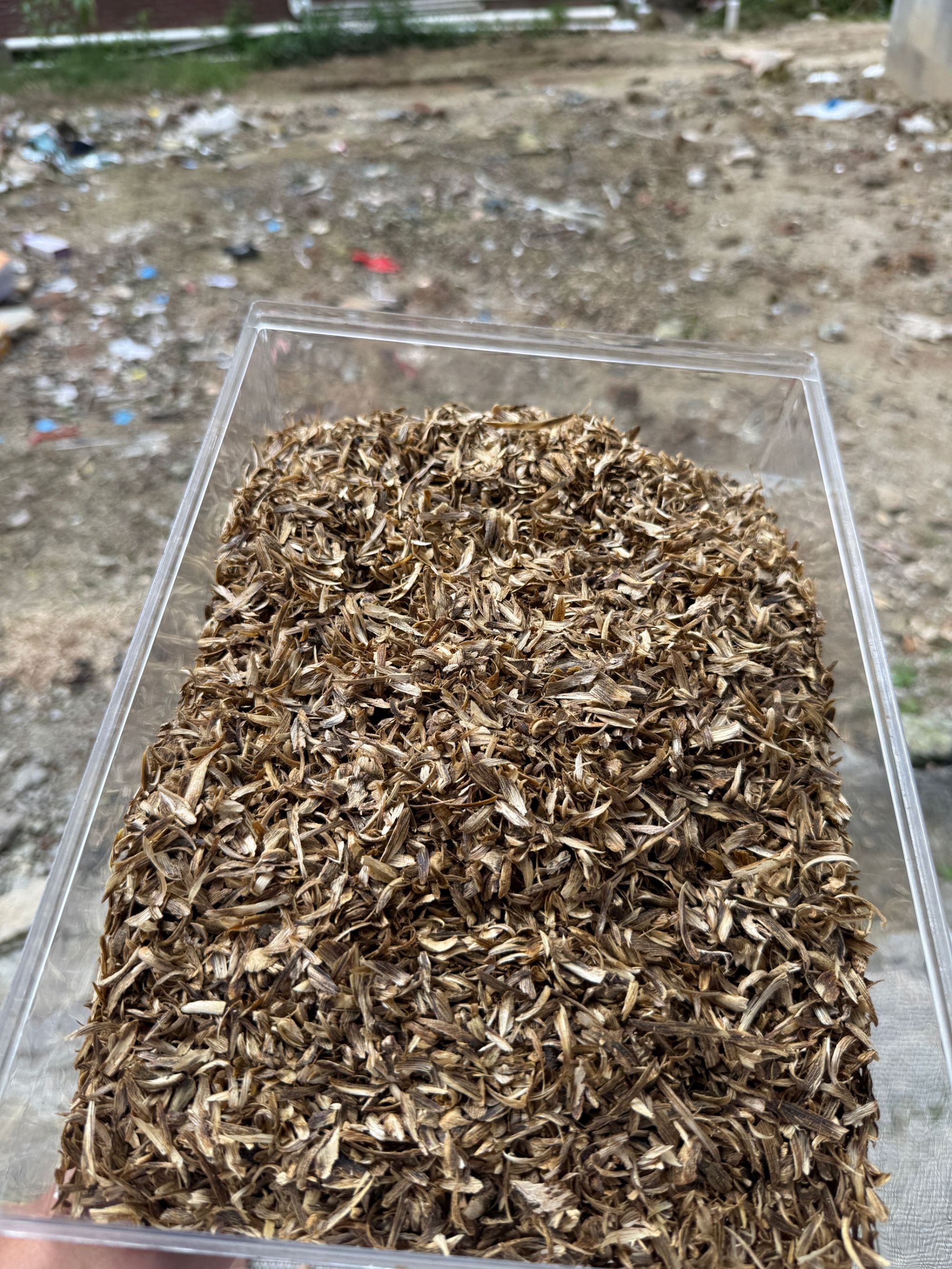 沉香奇楠沉香张勺子勾丝（23克一个香包）