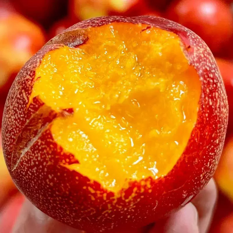 头茬黄心油桃脆甜可口现摘新鲜水果产地直发