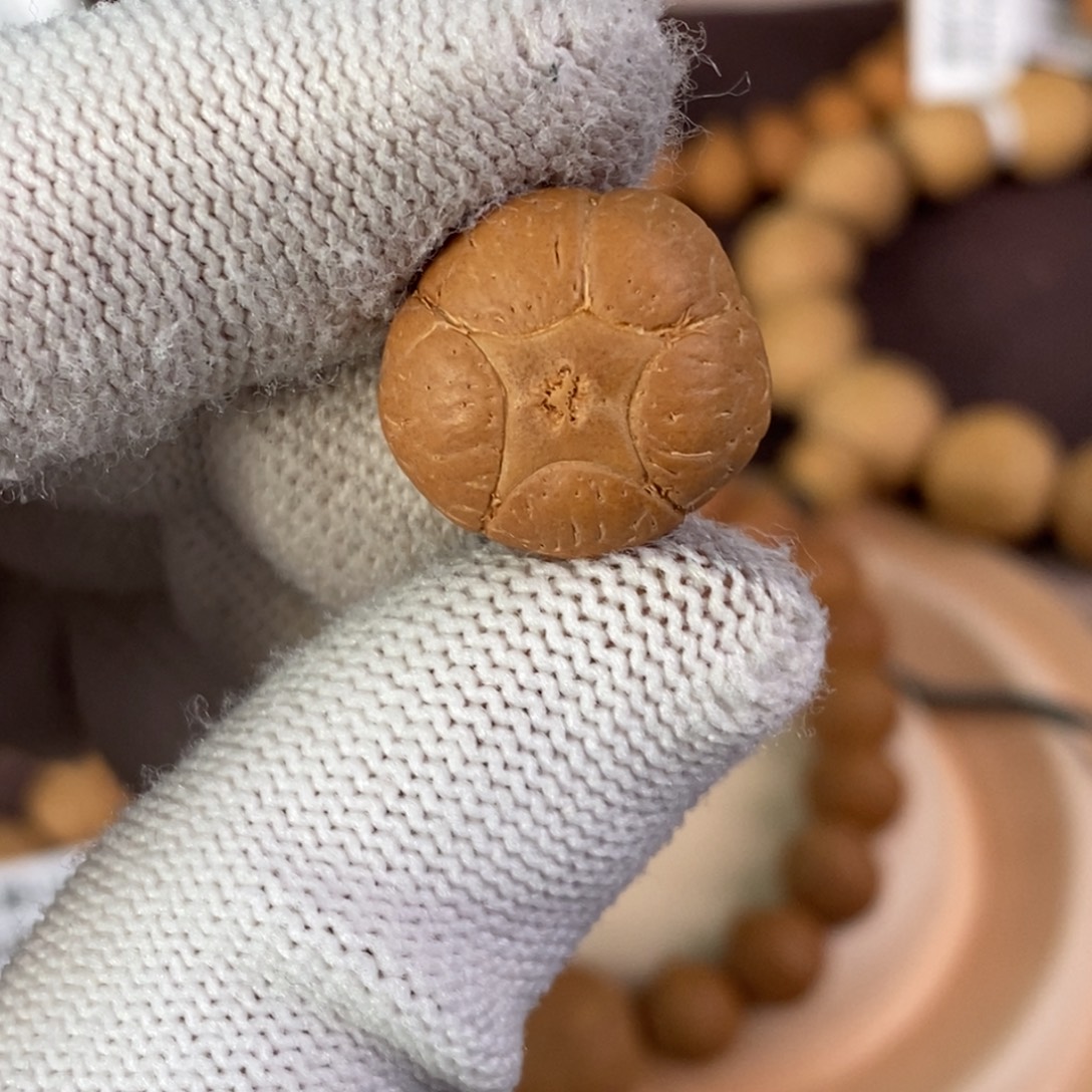 吊坠凤眼菩提17.9