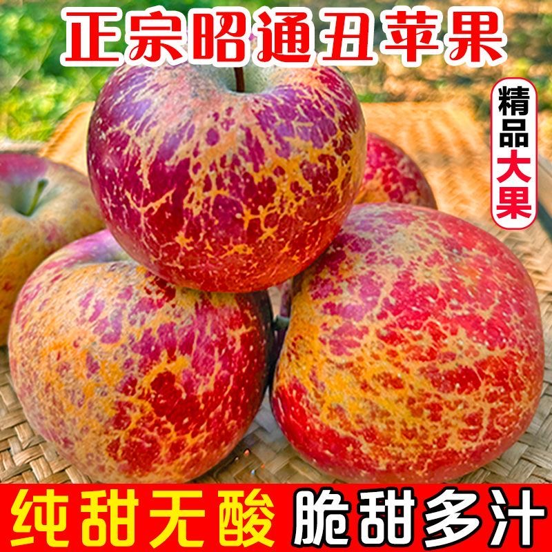 正宗昭通冰糖心丑苹果当季新鲜水果脆甜多汁皮薄现摘现发