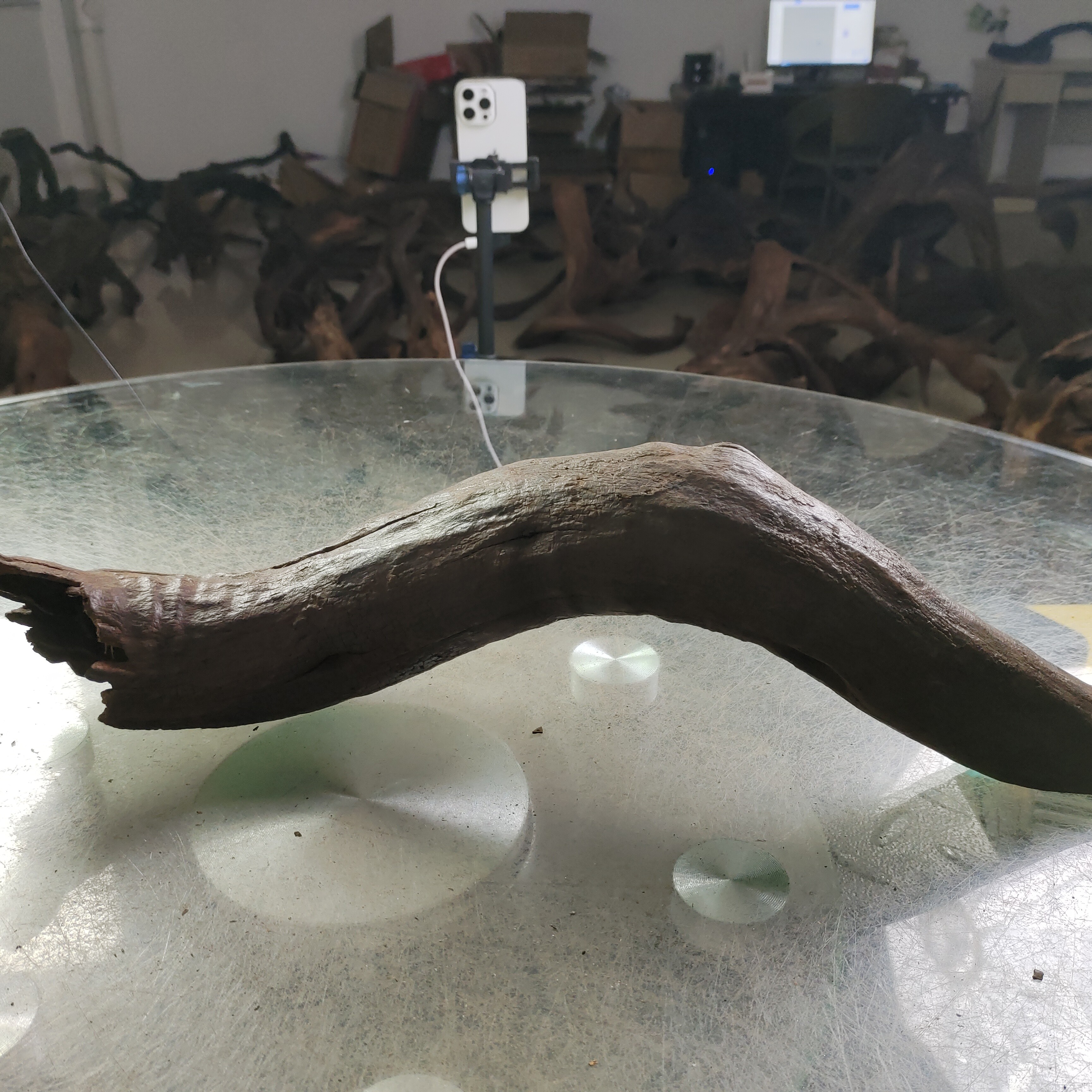 云南紫柚木秒沉002