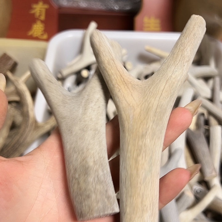 半***舍香榧木木雕款鹿角