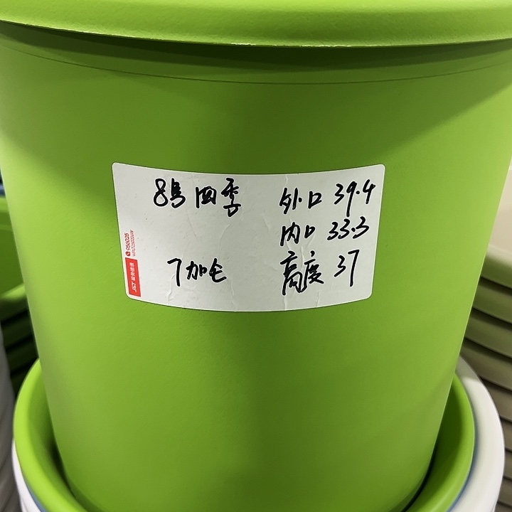 特价8号口39高37白色5只无托