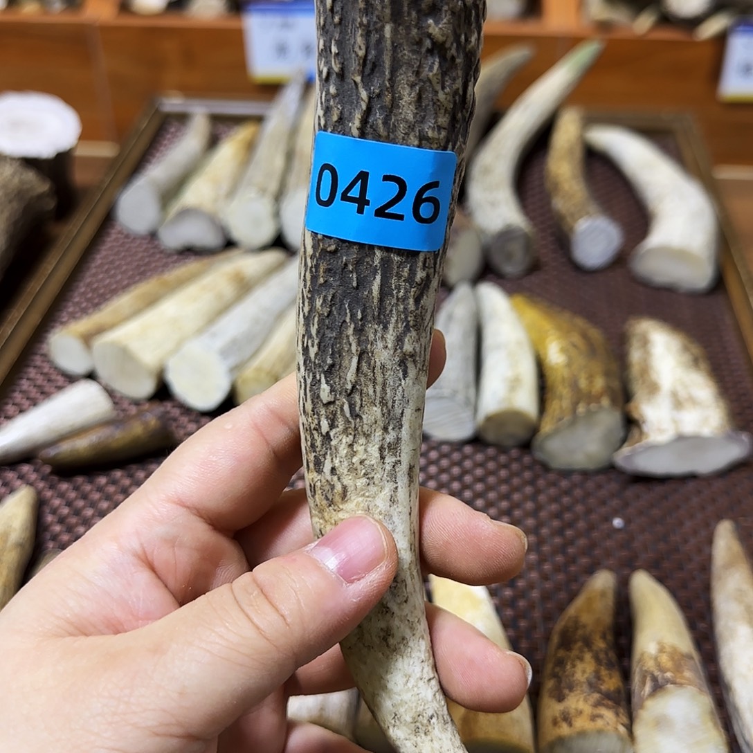 手串/手链鹿骨梅花鹿角尖0426